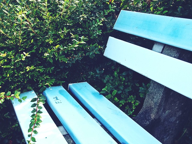 经历了哪些 经历了哪些