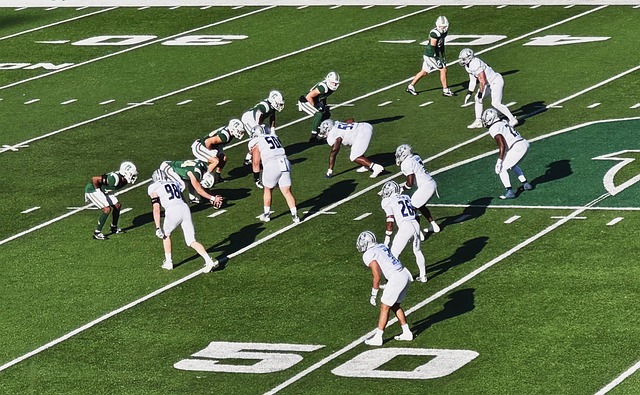 调往往能引 调往往能引