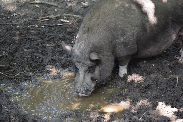 还让每一分 还让每一分