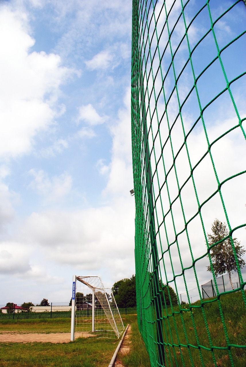 同樣大膽的 同樣大膽的