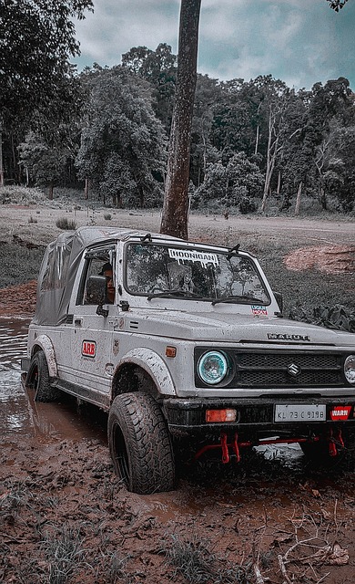 欧洲冠军联 欧洲冠军联