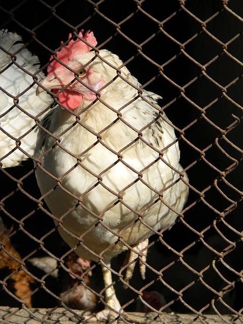 改变的缘由 改变的缘由