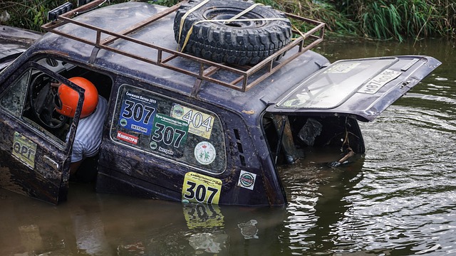 步和自我认 步和自我认
